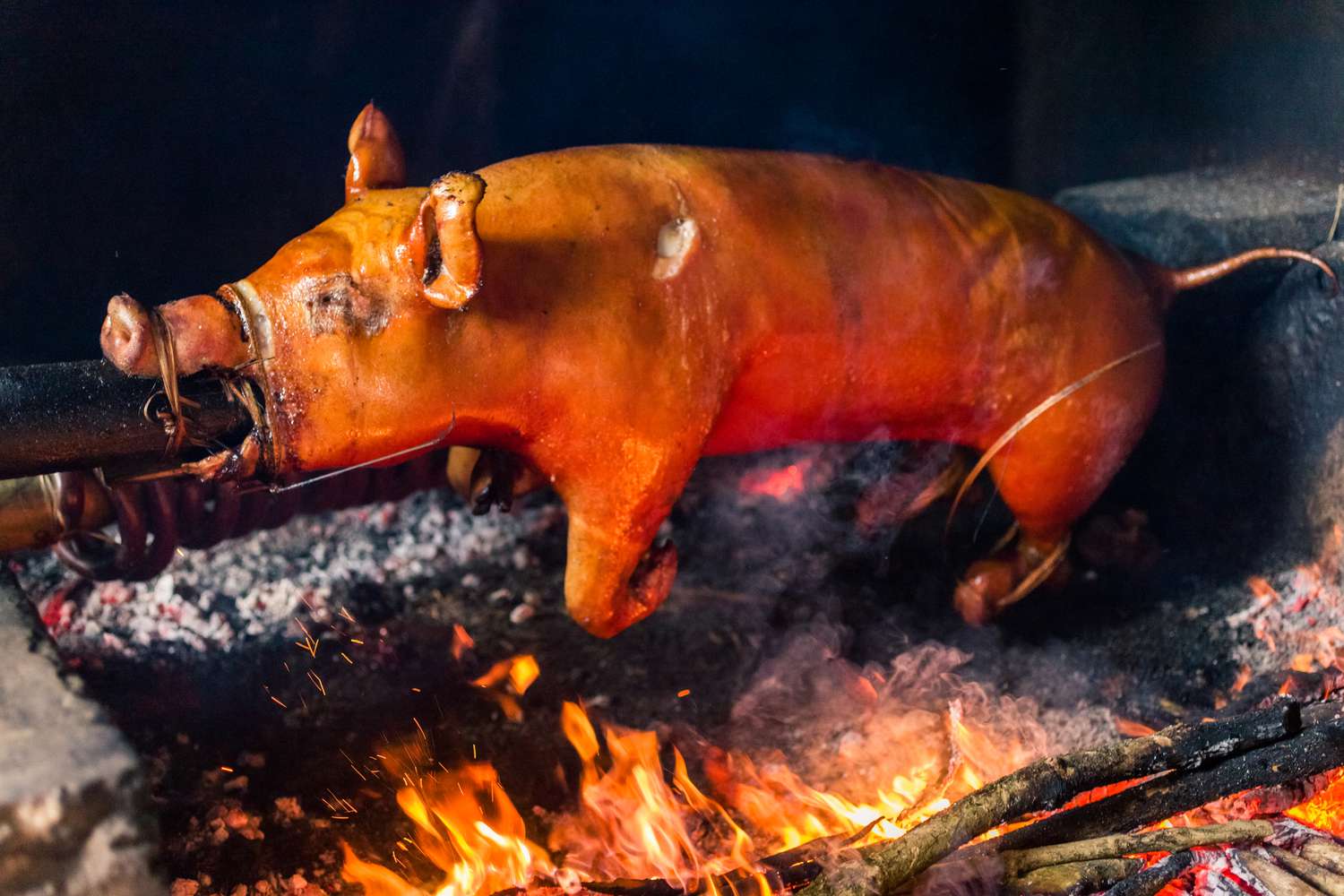 Roast Pig